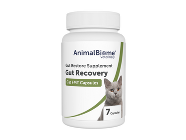 FMT Gut Recovery Capsules For Cats